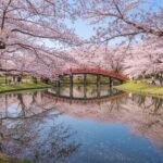 best places to visit in saitama japan