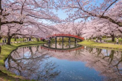 best places to visit in saitama japan