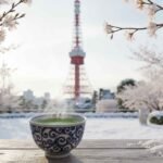 best places to visit in tokyo in winter