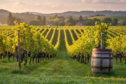 places to visit in Willamette Valley Oregon