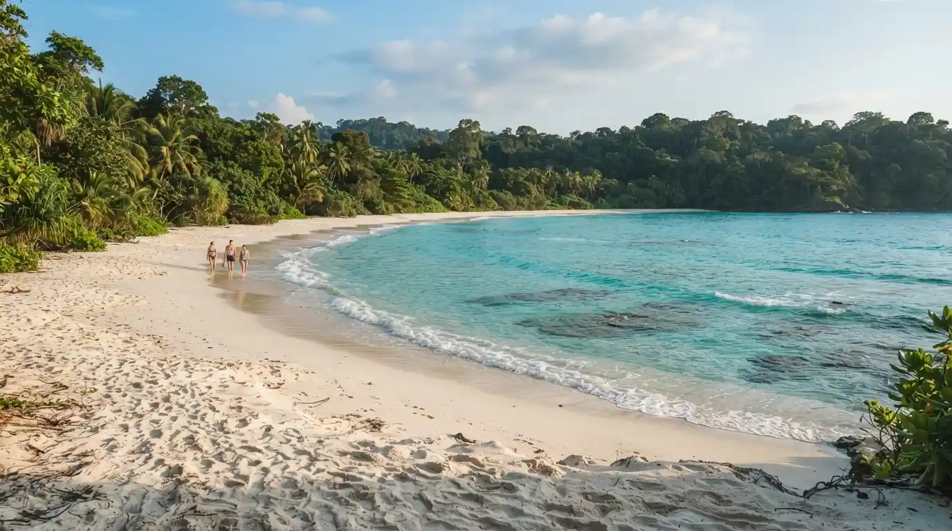 Tropical Andaman beach with turquoise water, white sand, palm trees, and forested coastline